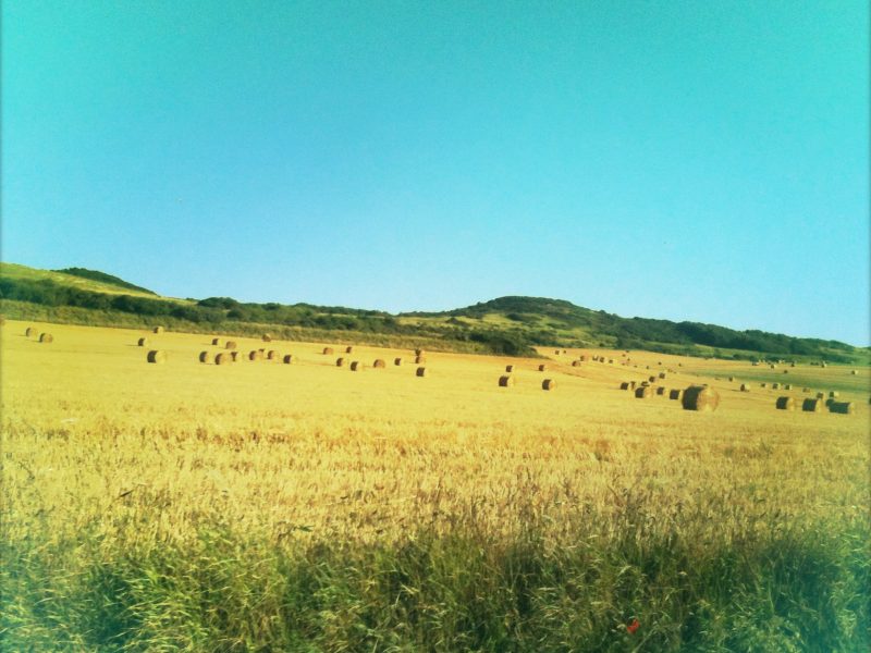 Campagna nei pressi di Calais, Francia